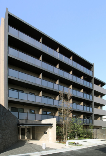 <span>renga Pro 5</span>号