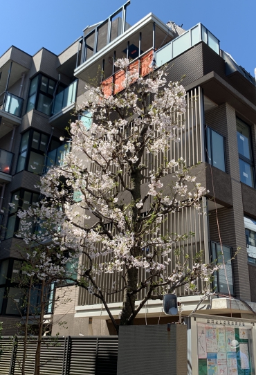 <span>renga Pro 6</span>号