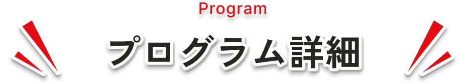 プログラム詳細